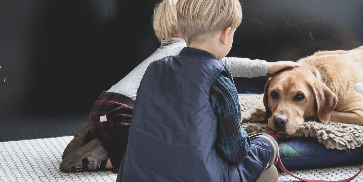 Why pets are ideal friends to children