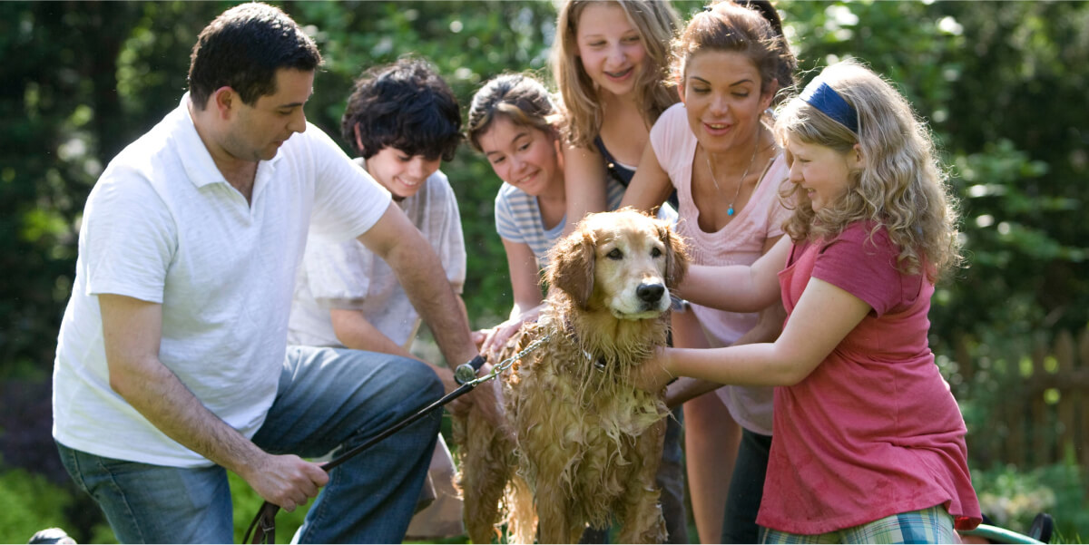 How to engage the whole family in pet-caring